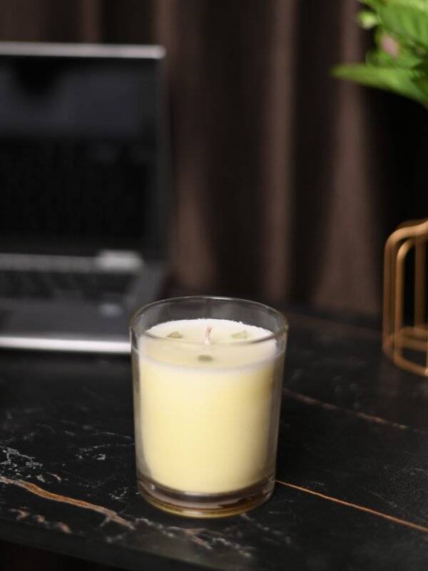 DSC_3265 Vanilla Flavour Candles