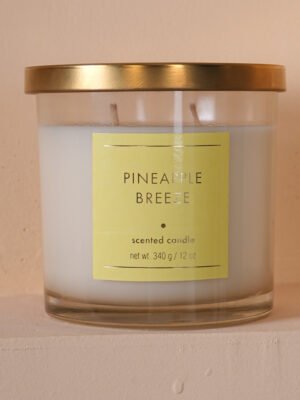 Pineapple Breeze Scented Candles